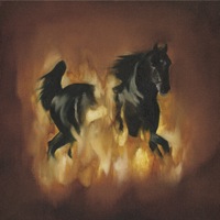 Are The Dark Horse by The Besnard Lakes