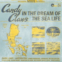 In The Dream of The Sea Life by Candy Claws