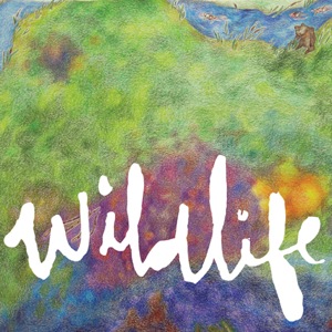 Wildlife by Headlights