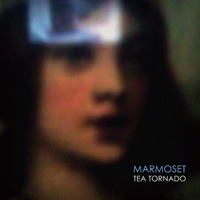 Tea Tornado by Marmoset