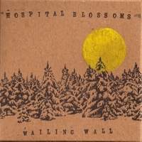 Hospital Blossom by The Wailing Wall