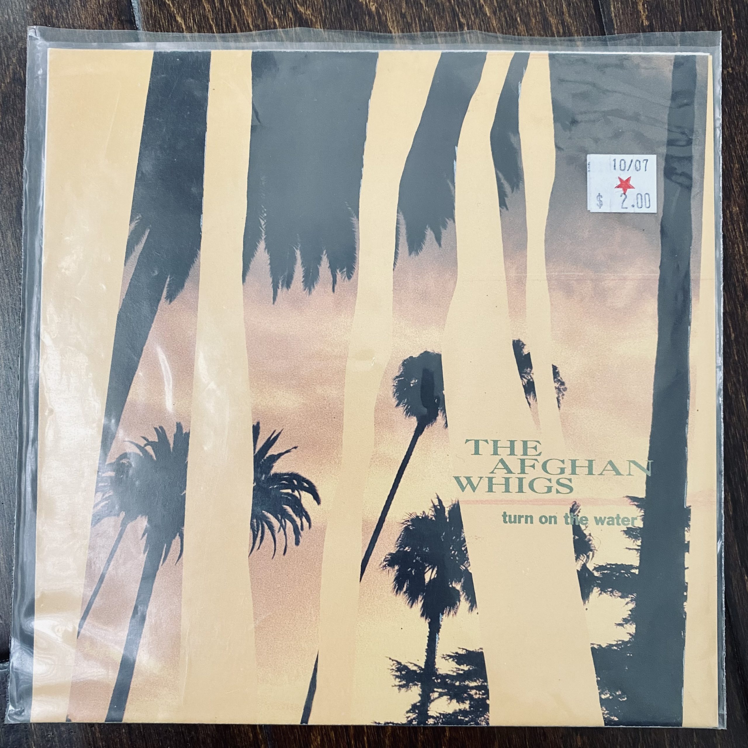 The Afghan Whigs | Turn on the Water | 7-inch Single Review |